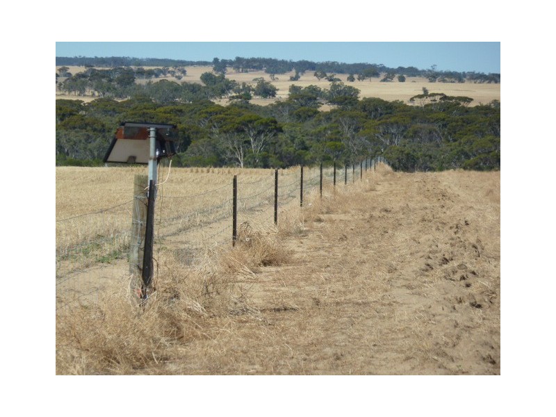Lot 10 Ellen Road, Quairading WA 6383