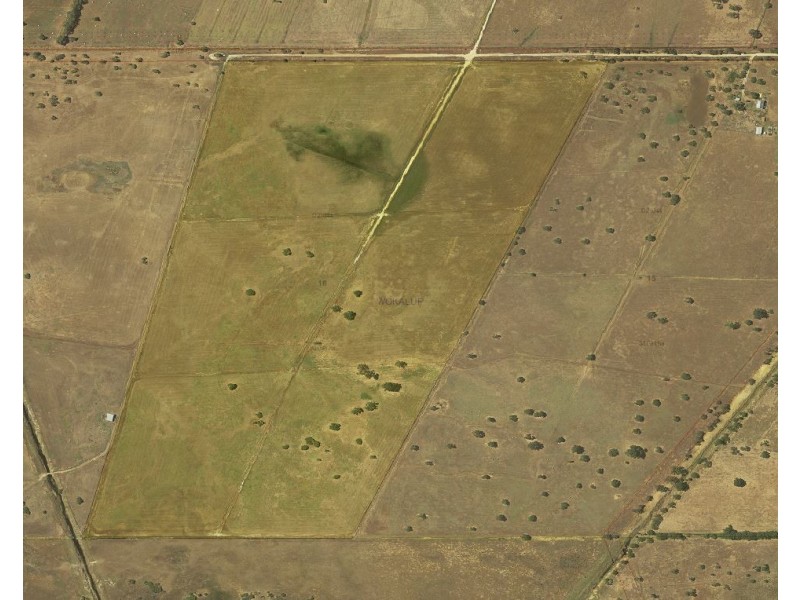 Lot 16 Hope Avenue, Wokalup WA 6221