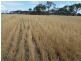 ‘Warradale’ Quairading South Road, Quairading WA 6383