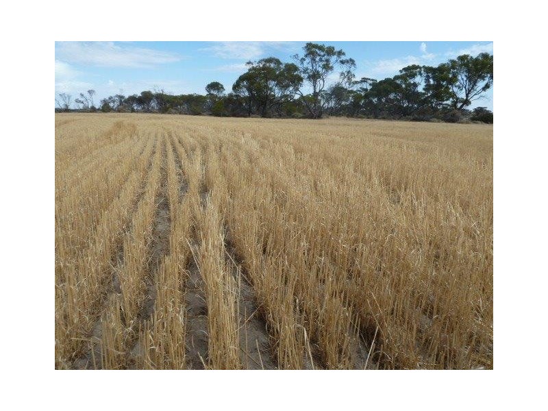 ‘Warradale’ Quairading South Road, Quairading WA 6383