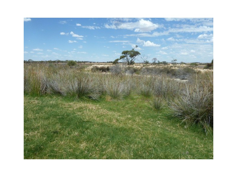 ‘Warradale’ Quairading South Road, Quairading WA 6383