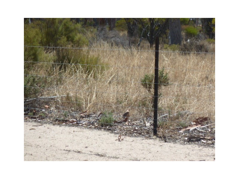 ‘Warradale’ Quairading South Road, Quairading WA 6383