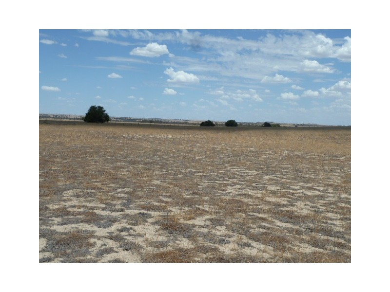 ‘Warradale’ Quairading South Road, Quairading WA 6383