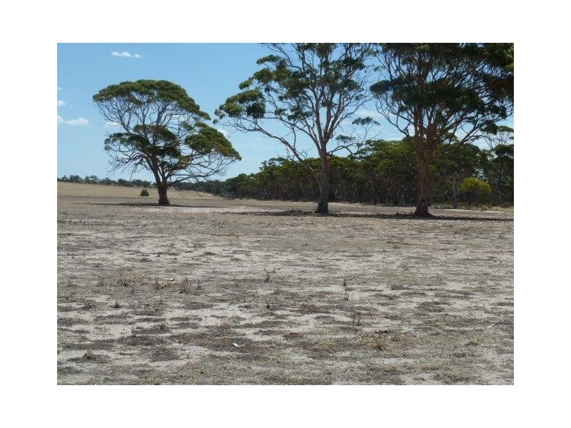 ‘Warradale’ Quairading South Road, Quairading WA 6383