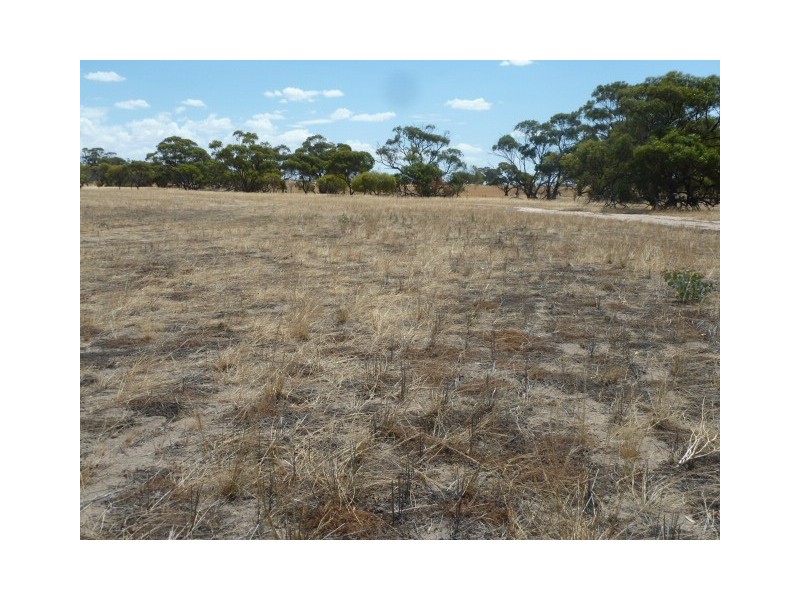 ‘Warradale’ Quairading South Road, Quairading WA 6383