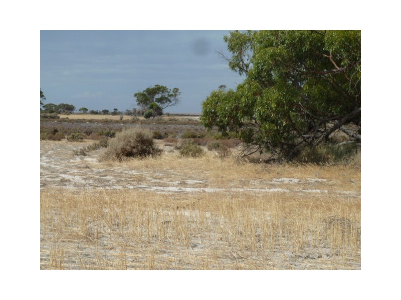 ‘Warradale’ Quairading South Road, Quairading WA 6383