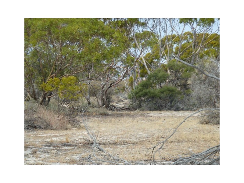 ‘Warradale’ Quairading South Road, Quairading WA 6383