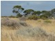 ‘Warradale’ Quairading South Road, Quairading WA 6383