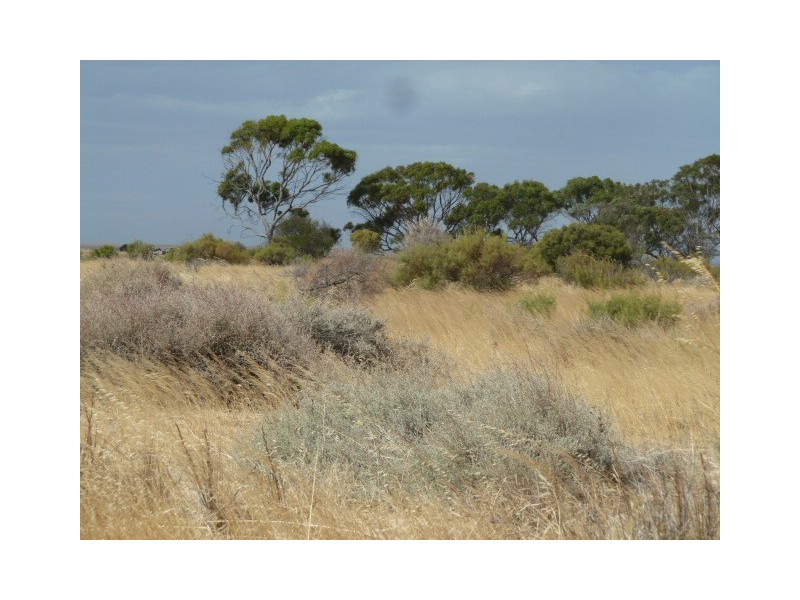 ‘Warradale’ Quairading South Road, Quairading WA 6383