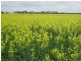 2112 Savages Road, Neridup WA 6450