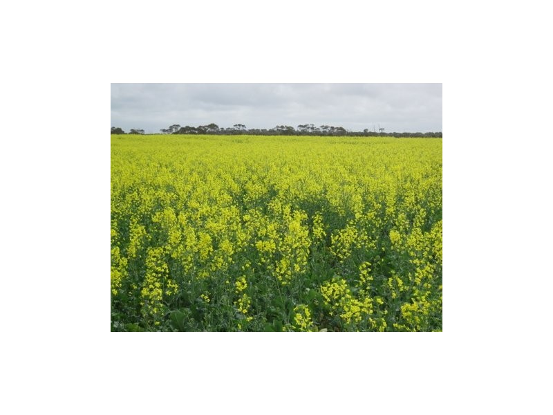 2112 Savages Road, Neridup WA 6450