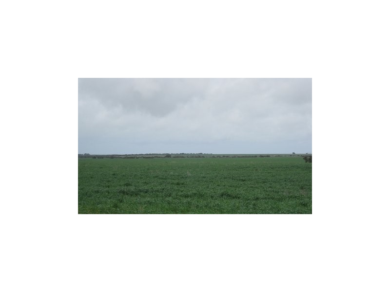 2112 Savages Road, Neridup WA 6450
