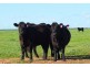 ‘Rancho West’ 3587 Merivale Road, Condingup WA 6450