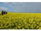 ‘Rancho West’ 3587 Merivale Road, Condingup WA 6450