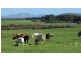 ‘Jimberlana’ Cape Le Grande Road, Merivale WA 6450