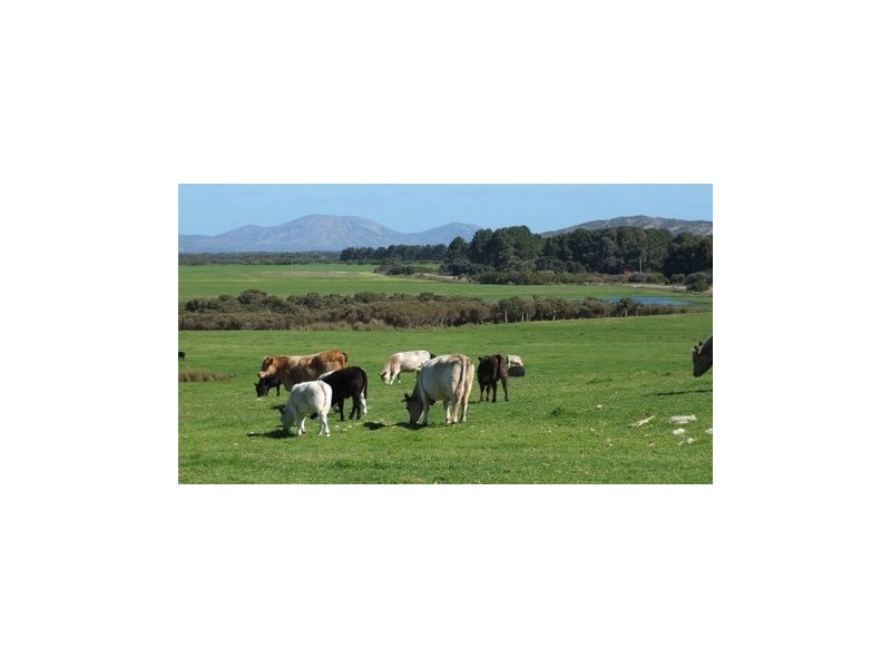 ‘Jimberlana’ Cape Le Grande Road, Merivale WA 6450