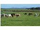 ‘Jimberlana’ Cape Le Grande Road, Merivale WA 6450