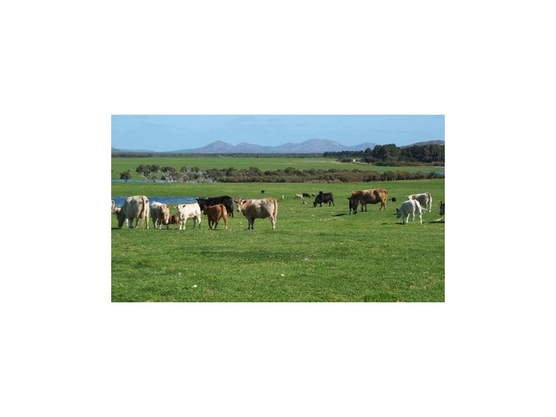 ‘Jimberlana’ Cape Le Grande Road, Merivale WA 6450