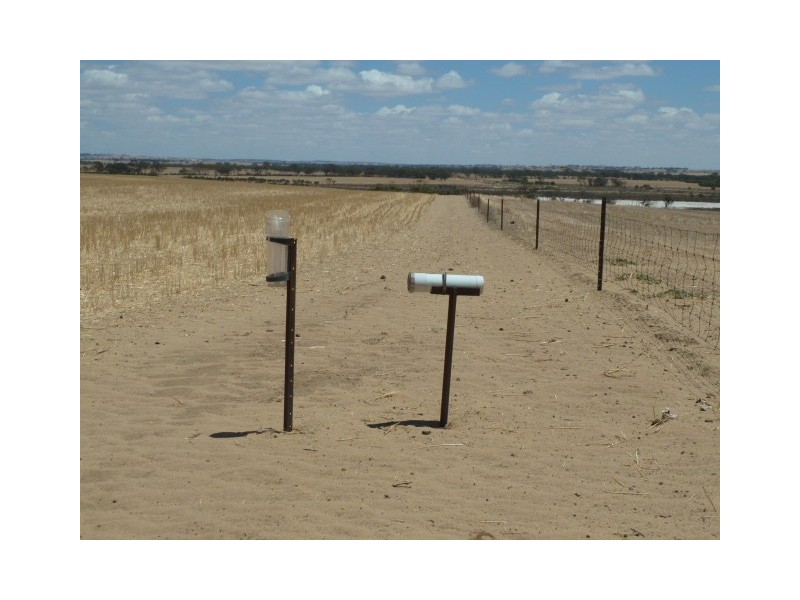 ‘Moloneys’ Bruce Rock Road, Badjaling WA 6383