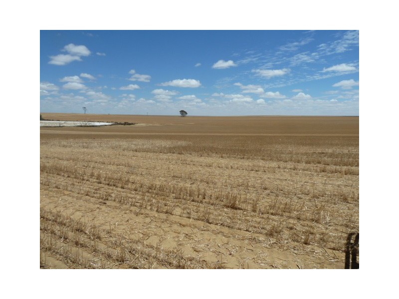 ‘Moloneys’ Bruce Rock Road, Badjaling WA 6383