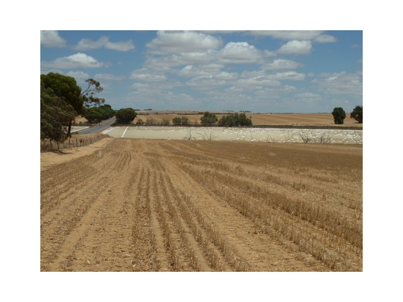 ‘Moloneys’ Bruce Rock Road, Badjaling WA 6383