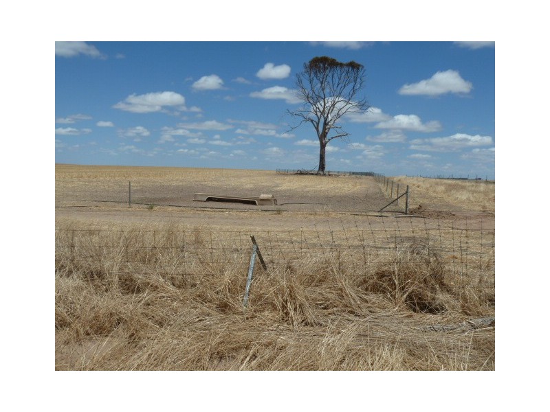 ‘Moloneys’ Bruce Rock Road, Badjaling WA 6383