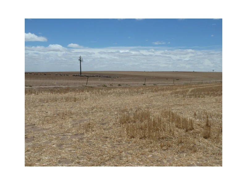 ‘Moloneys’ Bruce Rock Road, Badjaling WA 6383