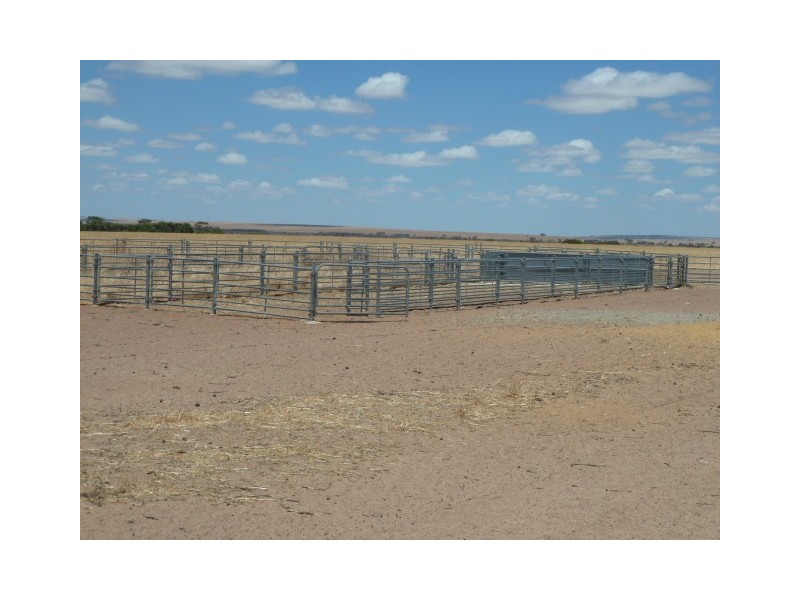 ‘Moloneys’ Bruce Rock Road, Badjaling WA 6383