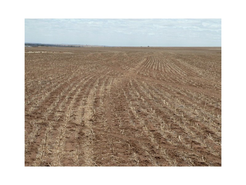 ‘Moloneys’ Bruce Rock Road, Badjaling WA 6383