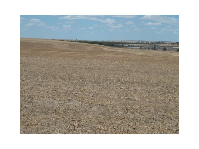 ‘Moloneys’ Bruce Rock Road, Badjaling WA 6383