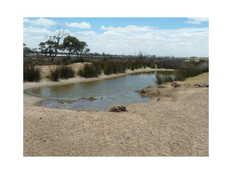 ‘Moloneys’ Bruce Rock Road, Badjaling WA 6383