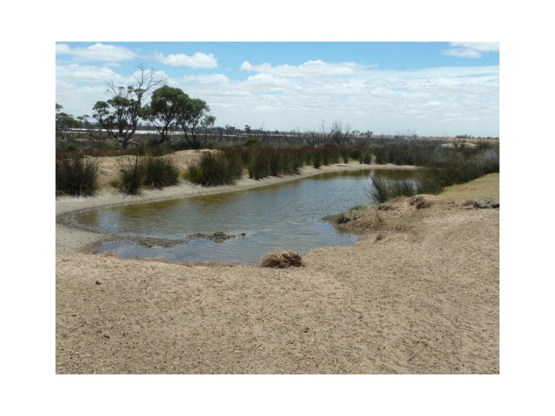 ‘Moloneys’ Bruce Rock Road, Badjaling WA 6383