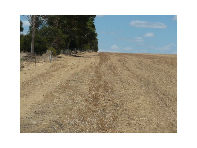 ‘Moloneys’ Bruce Rock Road, Badjaling WA 6383