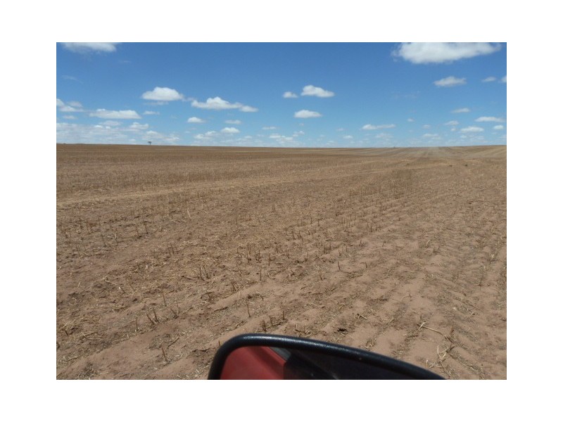 ‘Moloneys’ Bruce Rock Road, Badjaling WA 6383