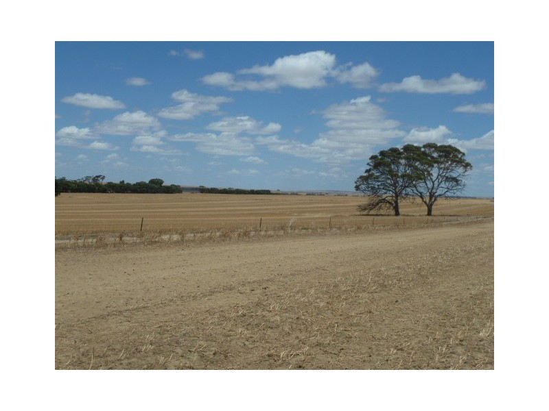 ‘Moloneys’ Bruce Rock Road, Badjaling WA 6383