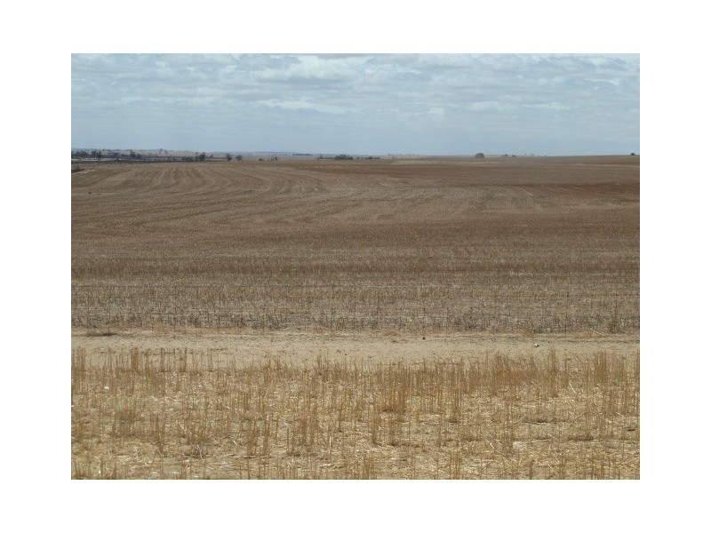 ‘Moloneys’ Bruce Rock Road, Badjaling WA 6383