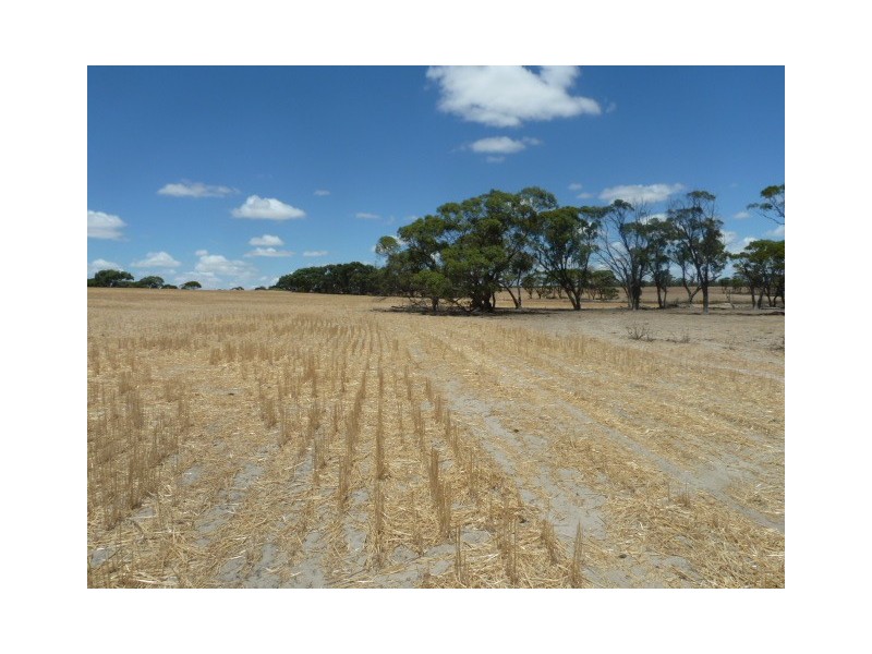 ‘Moloneys’ Bruce Rock Road, Badjaling WA 6383