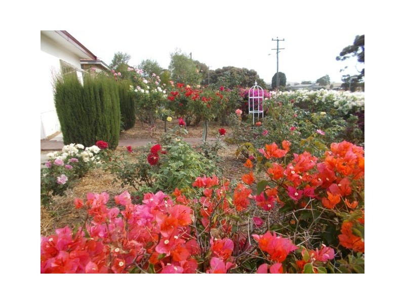 11 Quinn Street, Gnowangerup WA 6335