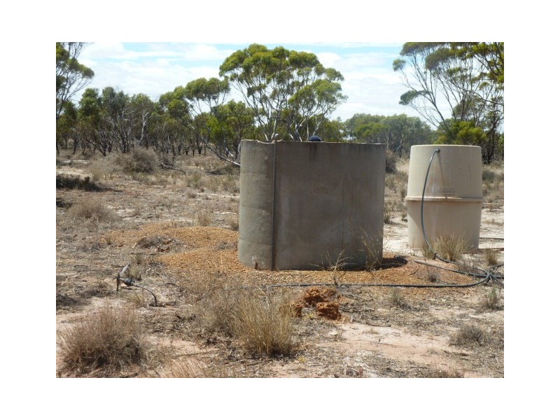 Lot 19574 Badjaling North Road, Quairading WA 6383