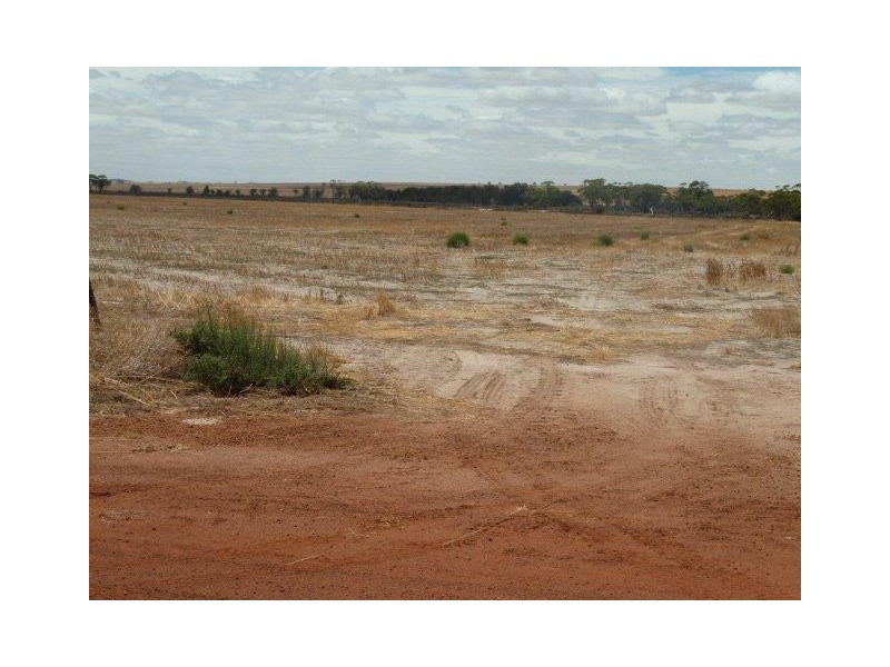 Lot 19574 Badjaling North Road, Quairading WA 6383