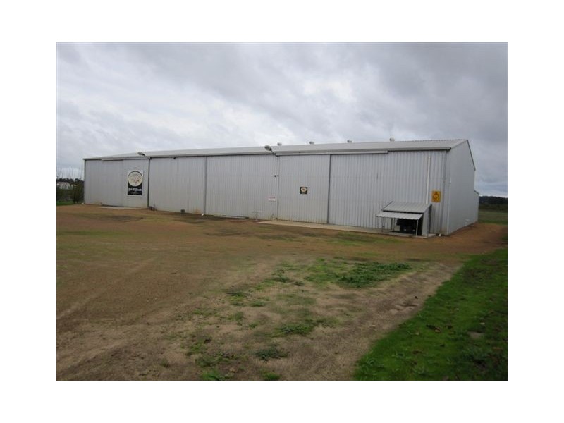 37 Lintott Street, Manjimup WA 6258