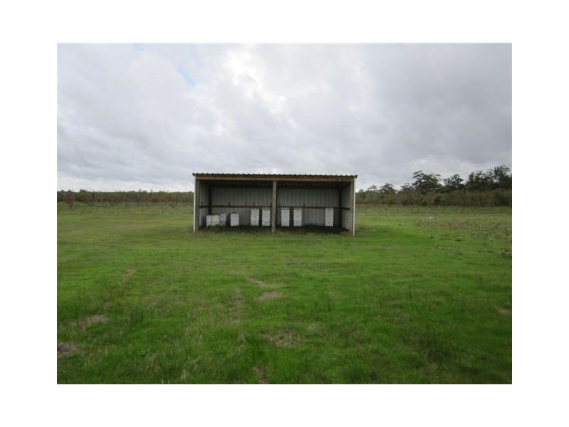 37 Lintott Street, Manjimup WA 6258