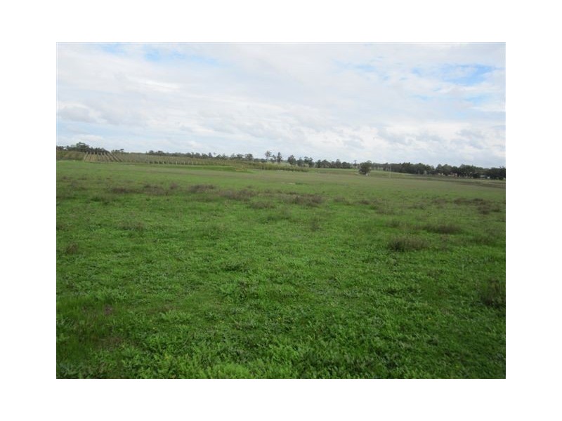 37 Lintott Street, Manjimup WA 6258