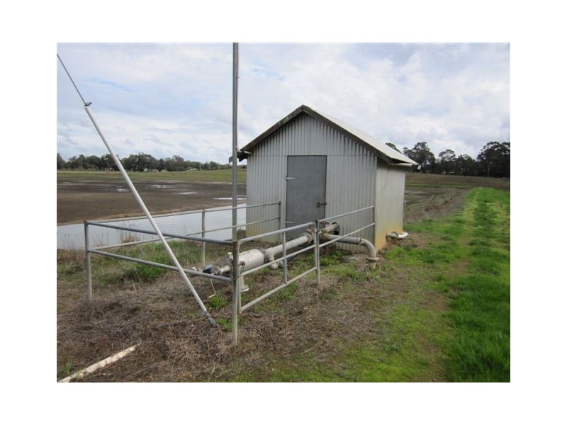 37 Lintott Street, Manjimup WA 6258