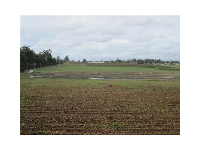 37 Lintott Street, Manjimup WA 6258