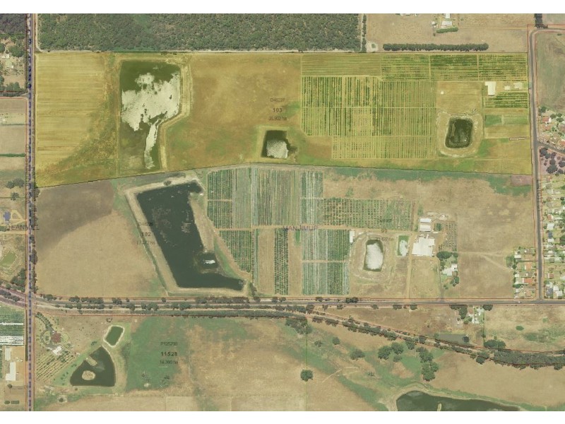 37 Lintott Street, Manjimup WA 6258