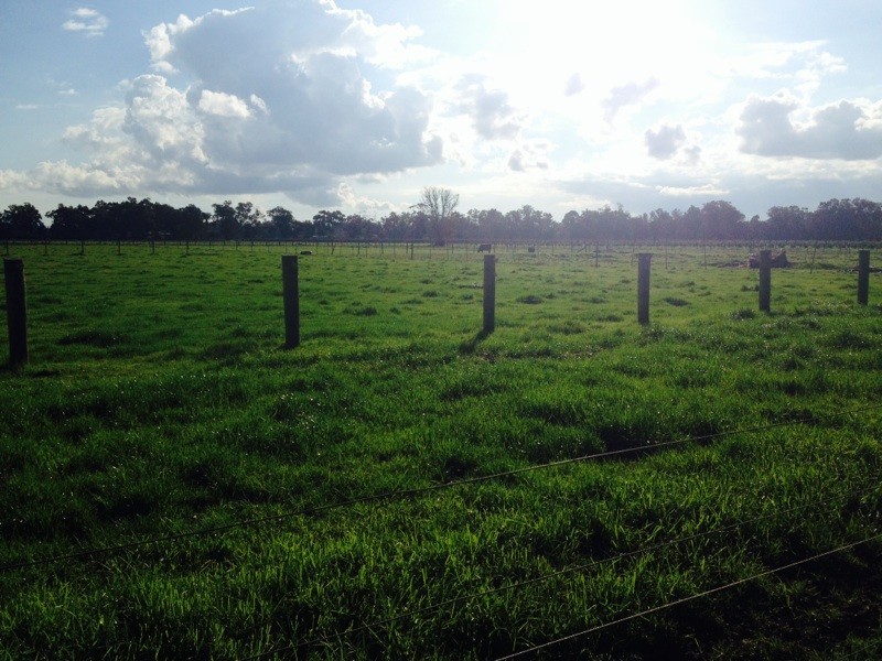 92 Sixth Street, Harvey WA 6220