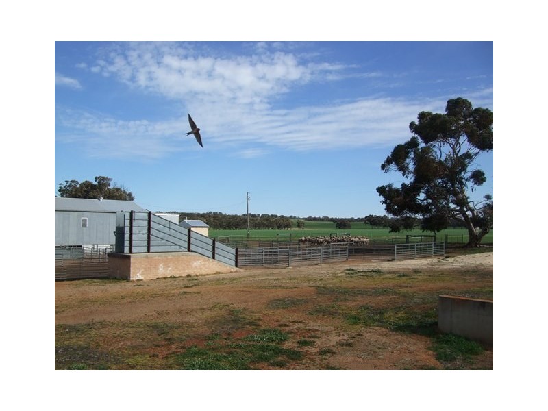 ‘Levi Rock’ 948 Harrismith Road, Wickepin WA 6370