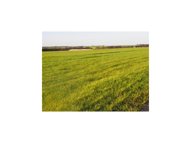 ‘Darjeeling’ 1412 Gleeson Road, Mills Lake WA 6336