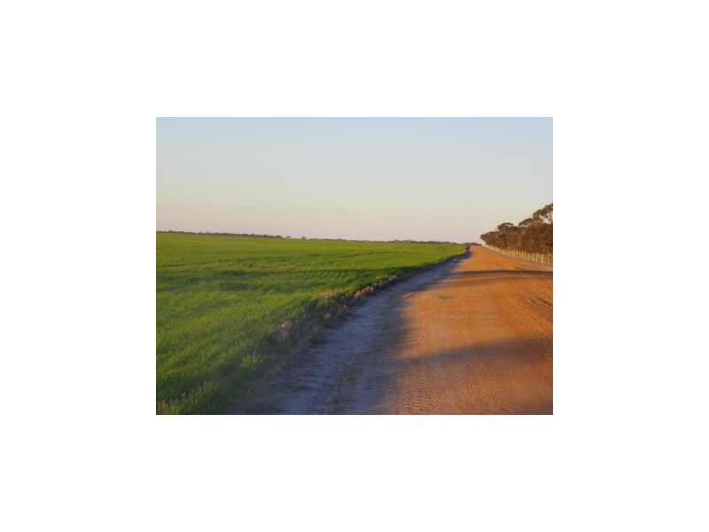 ‘Darjeeling’ 1412 Gleeson Road, Mills Lake WA 6336